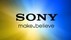 sony.jpg